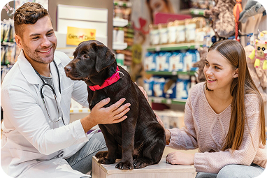 Pet Care